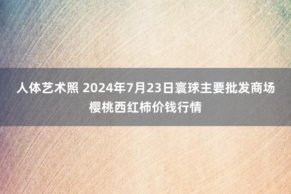 人体艺术照 2024年7月23日寰球主要批发商场樱桃西红柿价钱行情