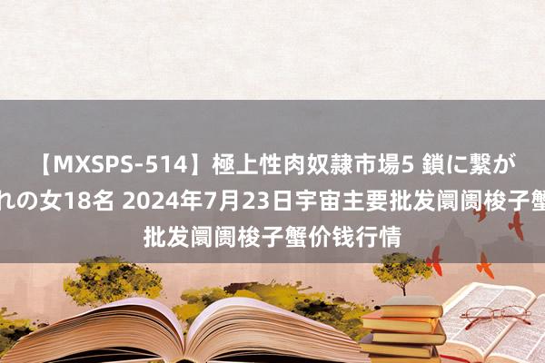 【MXSPS-514】極上性肉奴隷市場5 鎖に繋がれた囚われの女18名 2024年7月23日宇宙主要批发阛阓梭子蟹价钱行情