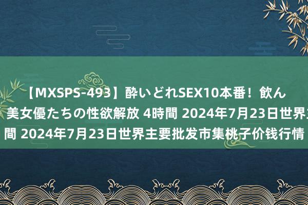 【MXSPS-493】酔いどれSEX10本番！飲んで揉まれてオールナイト 美女優たちの性欲解放 4時間 2024年7月23日世界主要批发市集桃子价钱行情