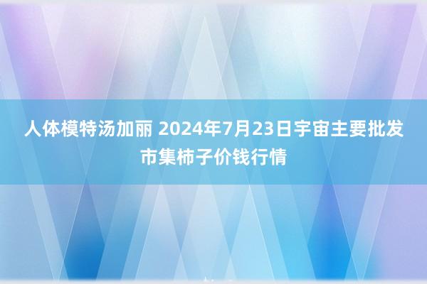 人体模特汤加丽 2024年7月23日宇宙主要批发市集柿子价钱行情