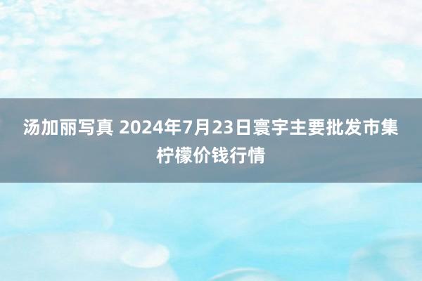 汤加丽写真 2024年7月23日寰宇主要批发市集柠檬价钱行情