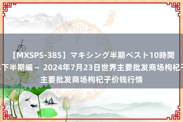 【MXSPS-385】マキシング半期ベスト10時間 ～2014年下半期編～ 2024年7月23日世界主要批发商场枸杞子价钱行情