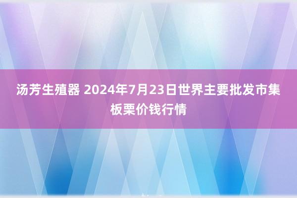 汤芳生殖器 2024年7月23日世界主要批发市集板栗价钱行情