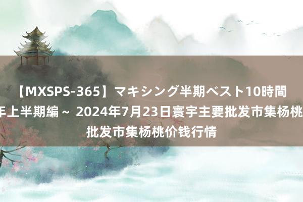 【MXSPS-365】マキシング半期ベスト10時間 ～2014年上半期編～ 2024年7月23日寰宇主要批发市集杨桃价钱行情