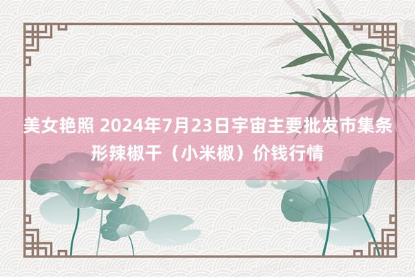 美女艳照 2024年7月23日宇宙主要批发市集条形辣椒干（小米椒）价钱行情