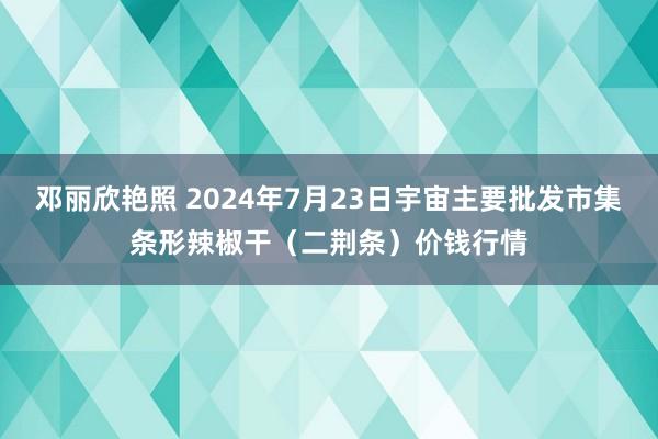 邓丽欣艳照 2024年7月23日宇宙主要批发市集条形辣椒干（二荆条）价钱行情