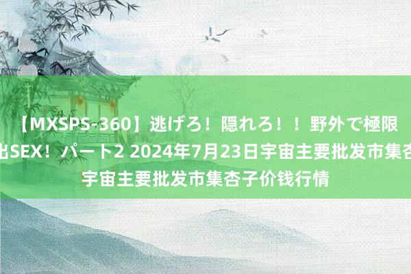 【MXSPS-360】逃げろ！隠れろ！！野外で極限スリルの露出SEX！パート2 2024年7月23日宇宙主要批发市集杏子价钱行情