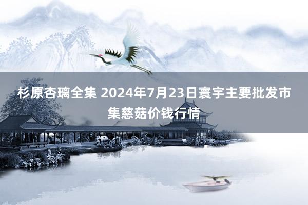 杉原杏璃全集 2024年7月23日寰宇主要批发市集慈菇价钱行情