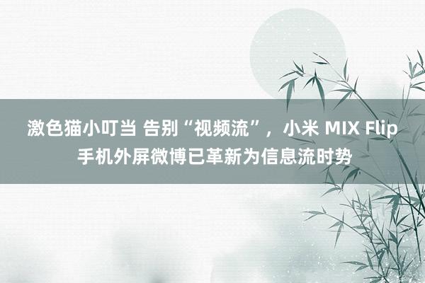 激色猫小叮当 告别“视频流”，小米 MIX Flip 手机外屏微博已革新为信息流时势