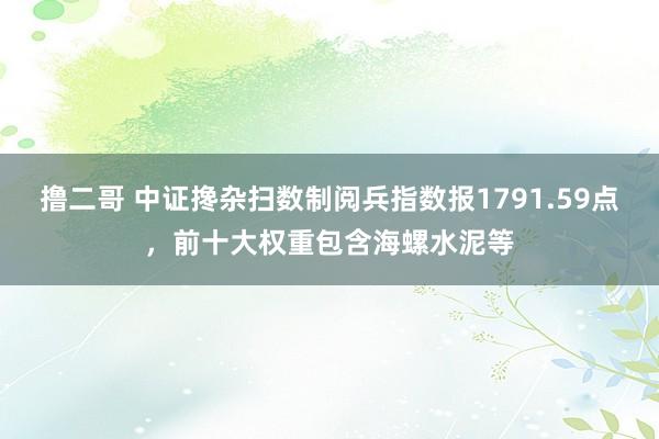 撸二哥 中证搀杂扫数制阅兵指数报1791.59点，前十大权重包含海螺水泥等