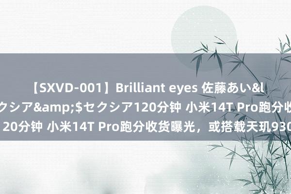 【SXVD-001】Brilliant eyes 佐藤あい</a>2006-11-01セクシア&$セクシア120分钟 小米14T Pro跑分收货曝光，或搭载天玑9300+