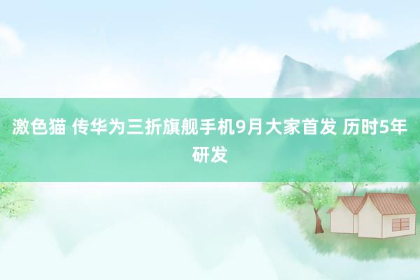 激色猫 传华为三折旗舰手机9月大家首发 历时5年研发