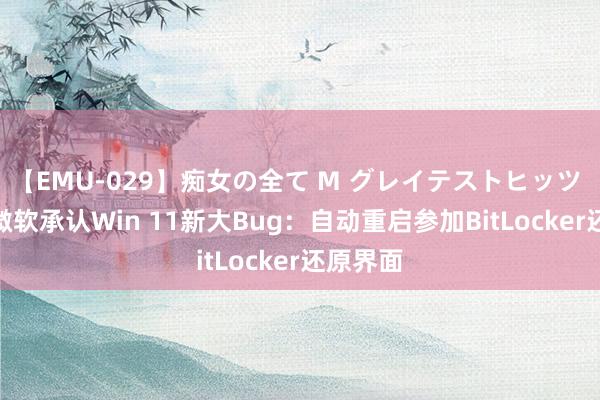 【EMU-029】痴女の全て M グレイテストヒッツ 4時間 微软承认Win 11新大Bug：自动重启参加BitLocker还原界面