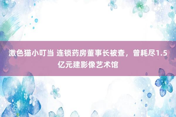 激色猫小叮当 连锁药房董事长被查，曾耗尽1.5亿元建影像艺术馆