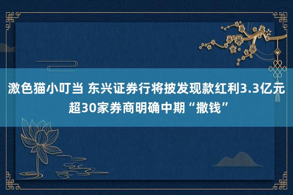 激色猫小叮当 东兴证券行将披发现款红利3.3亿元 超30家券商明确中期“撒钱”