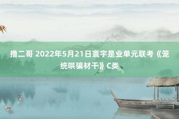 撸二哥 2022年5月21日寰宇是业单元联考《笼统哄骗材干》C类