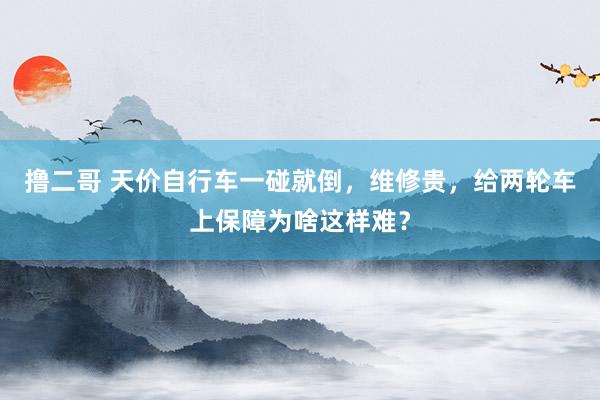 撸二哥 天价自行车一碰就倒，维修贵，给两轮车上保障为啥这样难？