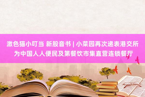 激色猫小叮当 新股音书 | 小菜园再次递表港交所 为中国人人便民及第餐饮市集直营连锁餐厅