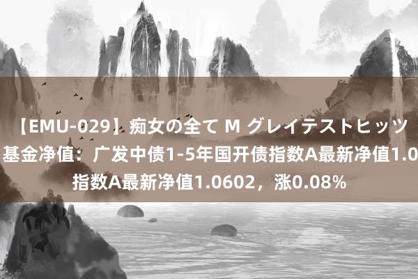 【EMU-029】痴女の全て M グレイテストヒッツ 4時間 8月14日基金净值：广发中债1-5年国开债指数A最新净值1.0602，涨0.08%