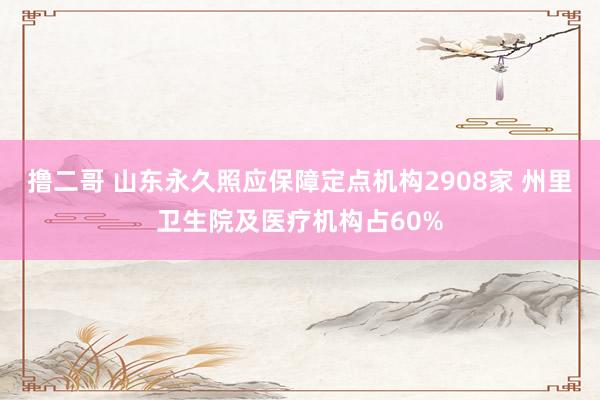 撸二哥 山东永久照应保障定点机构2908家 州里卫生院及医疗机构占60%