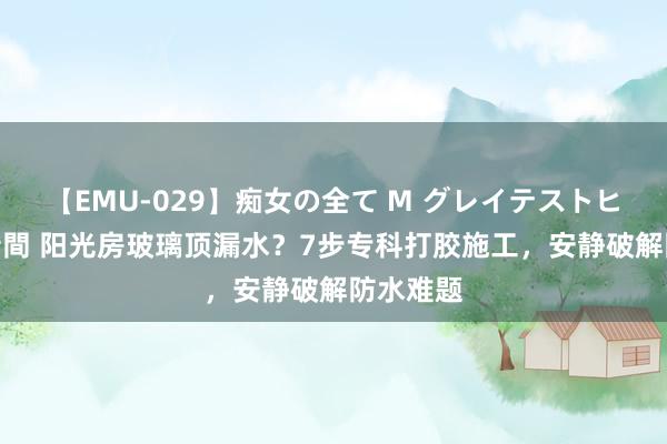 【EMU-029】痴女の全て M グレイテストヒッツ 4時間 阳光房玻璃顶漏水？7步专科打胶施工，安静破解防水难题