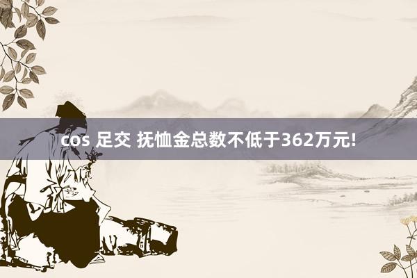 cos 足交 抚恤金总数不低于362万元!