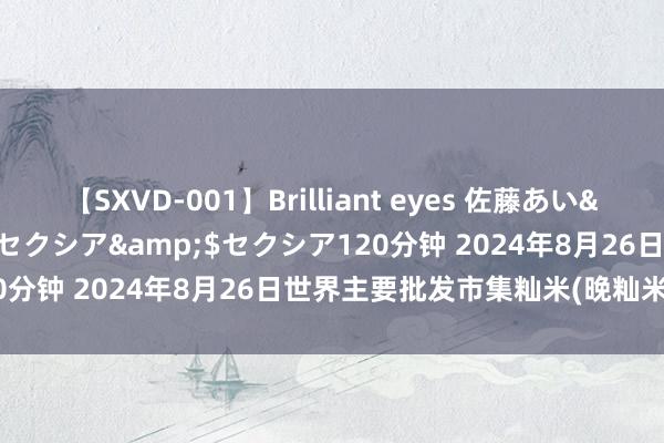 【SXVD-001】Brilliant eyes 佐藤あい</a>2006-11-01セクシア&$セクシア120分钟 2024年8月26日世界主要批发市集籼米(晚籼米)价钱行情