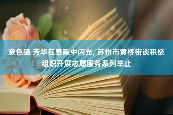 激色猫 芳华在奉献中闪光， 苏州市黄桥街谈积极组织开展志愿服务系列举止