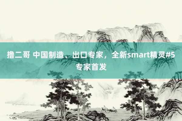 撸二哥 中国制造、出口专家，全新smart精灵#5专家首发