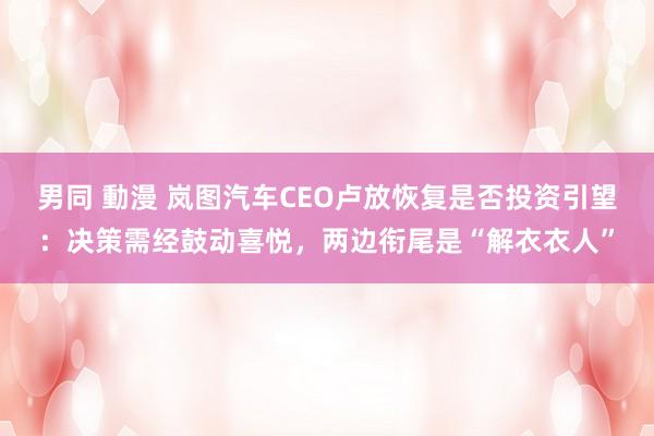 男同 動漫 岚图汽车CEO卢放恢复是否投资引望：决策需经鼓动喜悦，两边衔尾是“解衣衣人”