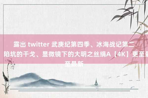 露出 twitter 武庚纪第四季、冰海战记第二季、陷坑的干戈、显微镜下的大明之丝绢A【4K】更至最新