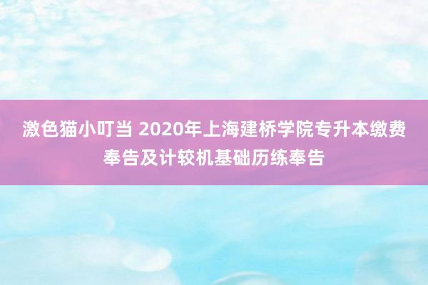 激色猫小叮当 2020年上海建桥学院专升本缴费奉告及计较机基础历练奉告