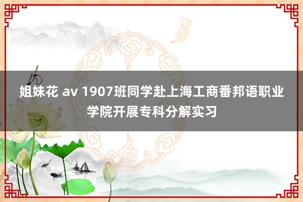 姐妹花 av 1907班同学赴上海工商番邦语职业学院开展专科分解实习