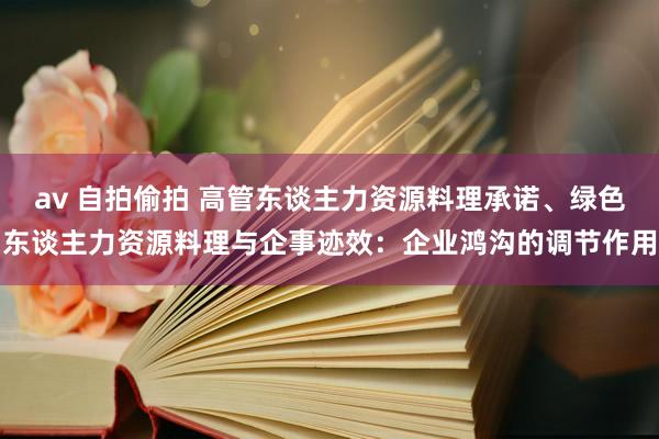 av 自拍偷拍 高管东谈主力资源料理承诺、绿色东谈主力资源料理与企事迹效：企业鸿沟的调节作用