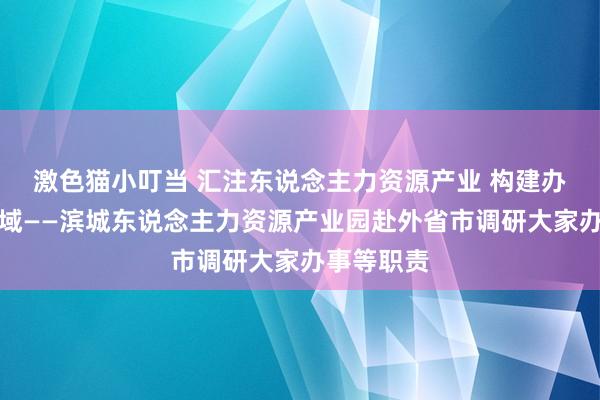 激色猫小叮当 汇注东说念主力资源产业 构建办事友好区域——滨城东说念主力资源产业园赴外省市调研大家办事等职责