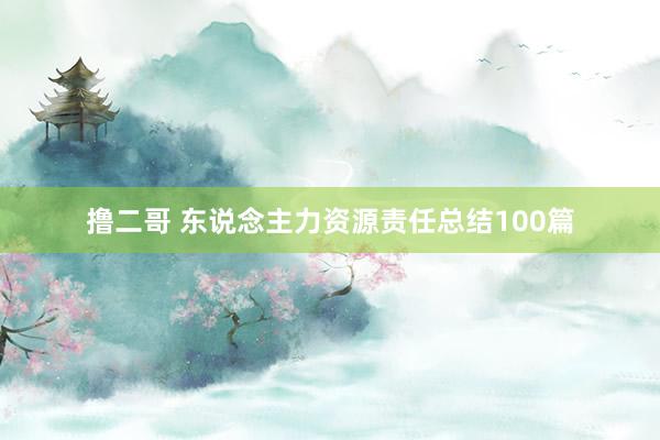 撸二哥 东说念主力资源责任总结100篇